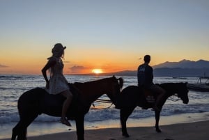 Gili Air: 1 Hour Horseback Riding With hotel Transfer