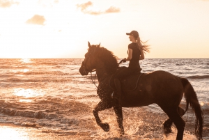 Gili Air: 1 Hour Horseback Riding With hotel Transfer