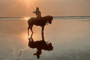 Gili Air: 1 Hour Horseback Riding With hotel Transfer