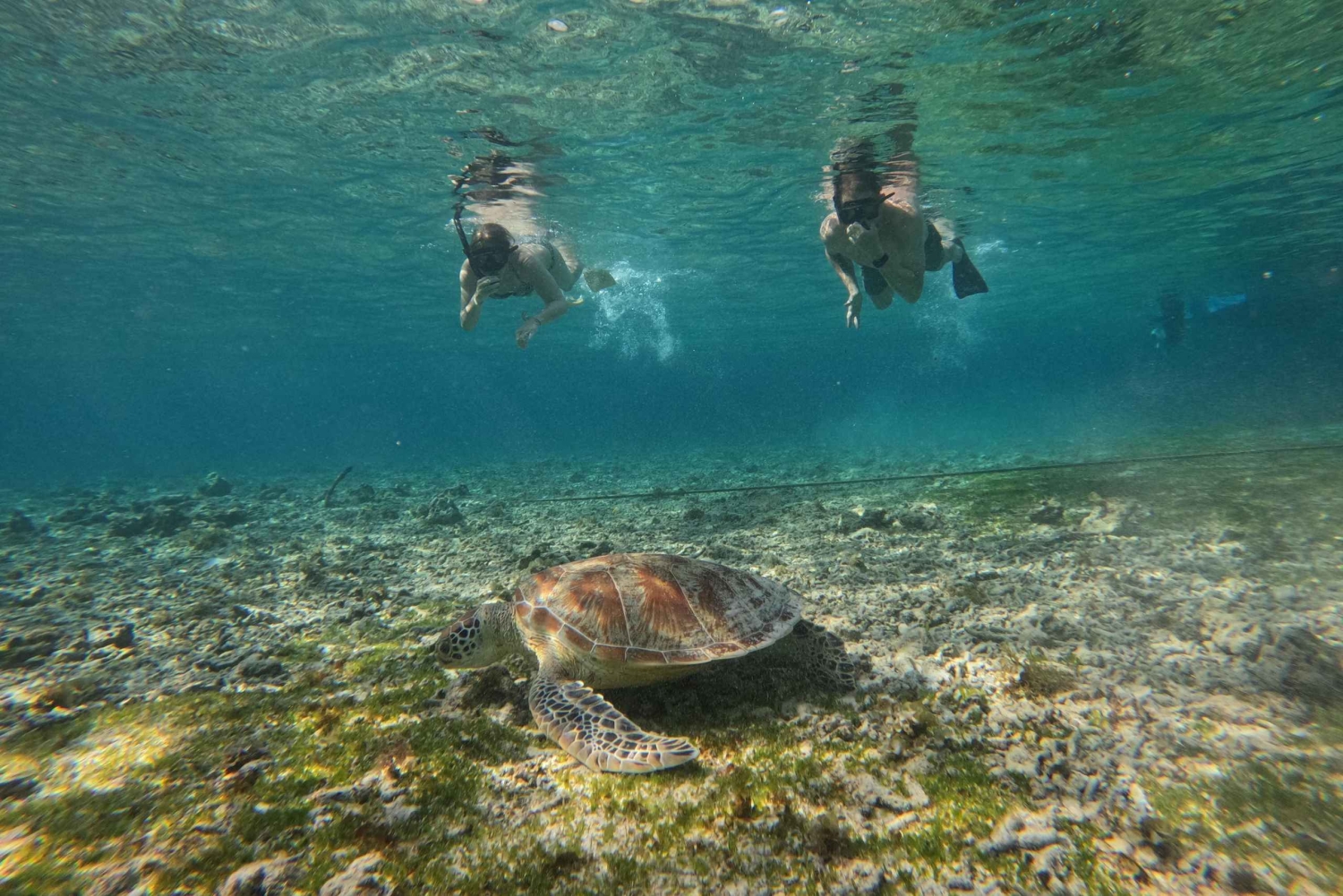 Gili Air: Private 3-stündige Schnorcheltour mit Fotoshooting