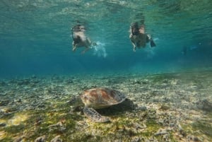 Gili Air: Private 3-stündige Schnorcheltour mit Fotoshooting