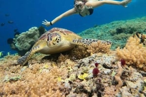 Gili Air: Private Snorkeling in 4 Spots with GoPro Camera