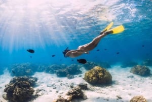 Gili Air: Private Snorkeling in 4 Spots with GoPro Camera