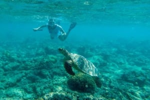 Gili Air: Private Snorkeling in 4 Spots with GoPro Camera