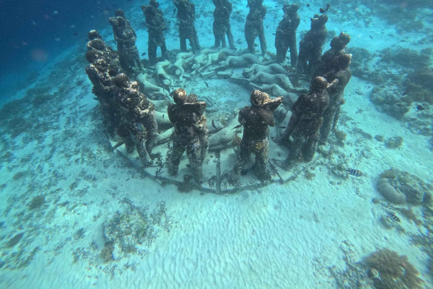 Gili Air: Sharring Snorkeling Experience by Boat