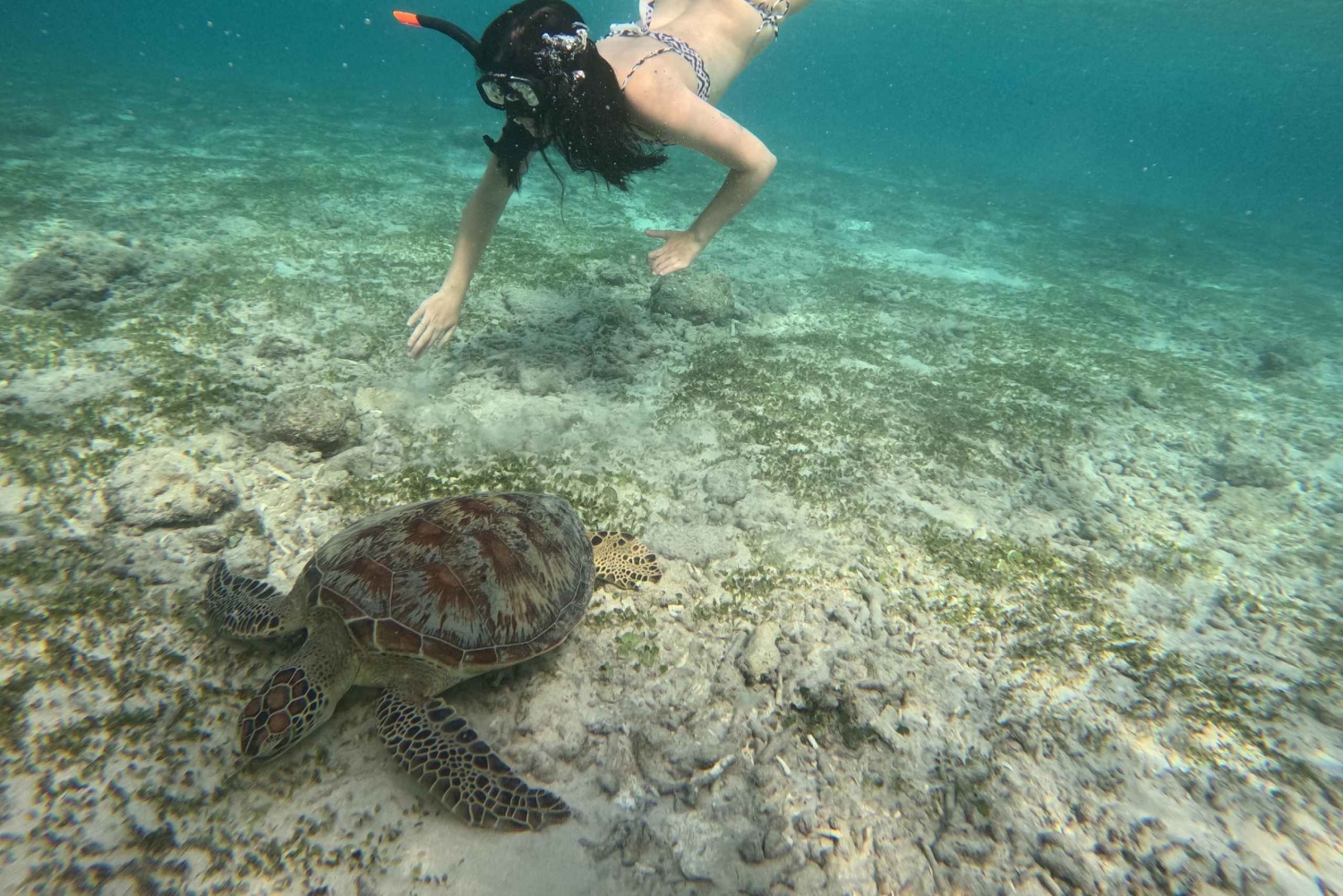 Gili Air: Small-Group Snorkeling Tour with GoPro