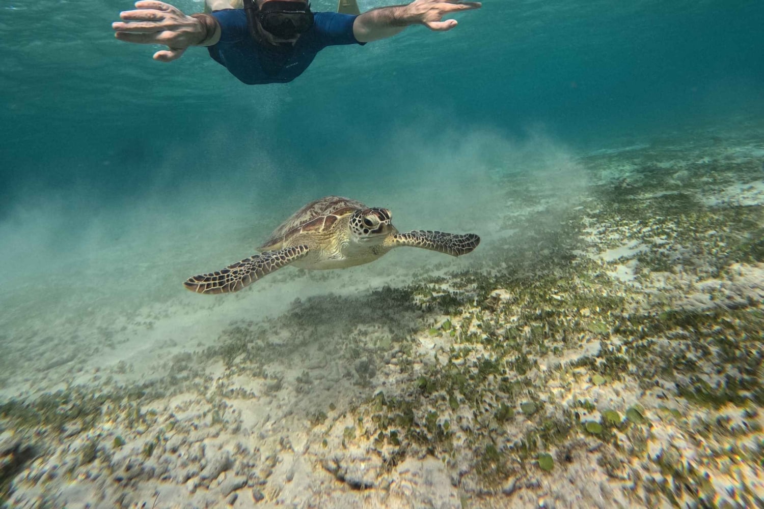 Gili Air: Small-Group Snorkeling Tour with GoPro