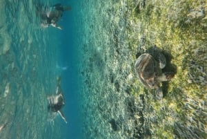Gili Air: Small-Group Snorkeling Tour with GoPro