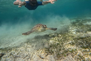Gili Air: Small-Group Snorkeling Tour with GoPro