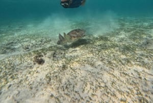Gili Air: Small-Group Snorkeling Tour with GoPro