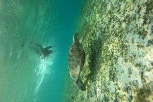 Gili Air: Small-Group Snorkeling Tour with GoPro