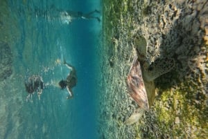 Gili Air: Small-Group Snorkeling Tour with GoPro