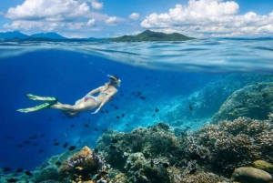 Gili Air: Snorkeling 3 Gili Islands with Shared/Private Boat