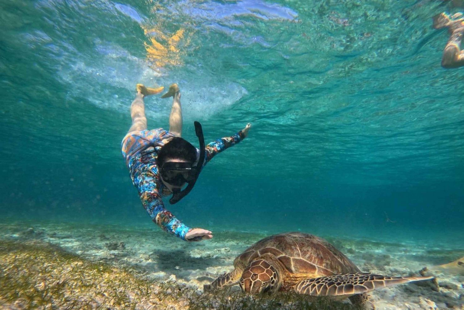 Gili Air: mergulho com snorkel, natação com tartaruga e estátua