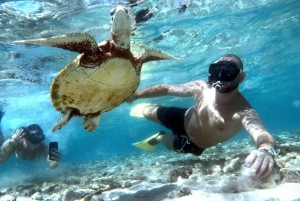 Gili Air: mergulho com snorkel, natação com tartaruga e estátua