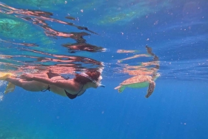 Gili Air: Snorkling, svømming med skilpadde og statue