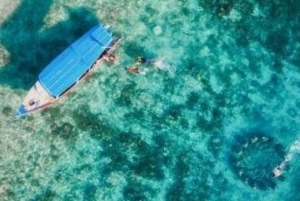 Gili Air : Snorklaus uinti kilpikonnan ja patsaan kanssa