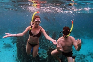 Gili Air: mergulho com snorkel, natação com tartaruga e estátua