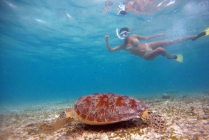 Gili Air : Snorkeling con tartaruga e statua