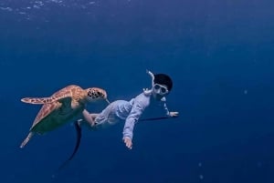 Gili Air : Snorkling Simning med sköldpadda och staty