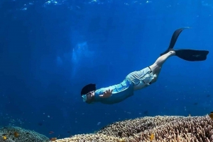 Gili Air : Snorkeling con tartaruga e statua