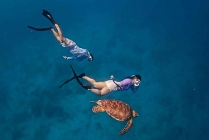 Gili Air : Snorkeling Nadando con Tortuga y Estatua