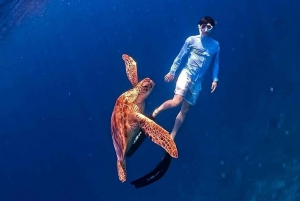 Gili Air : Plongée avec masque et tuba, nage avec tortue et statue