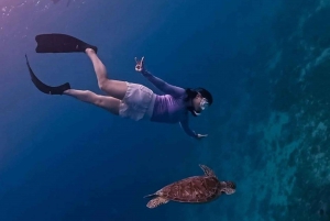 Gili Air : Schnorcheln Schwimmen mit Schildkröte & Statue