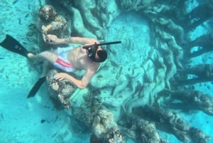 Gili Air/Trawangan: Båttur med glassbunn og snorkling