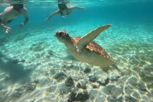 Gili Air/Trawangan: Båttur med glassbunn og snorkling