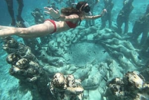 Gili Air/Trawangan: Glass-Bottom Boat Tour with Snorkeling