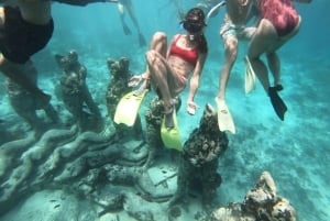 Gili Air/Trawangan: Glass-Bottom Boat Tour with Snorkeling
