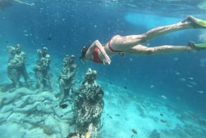 Gili Air/Trawangan: Glass-Bottom Boat Tour with Snorkeling