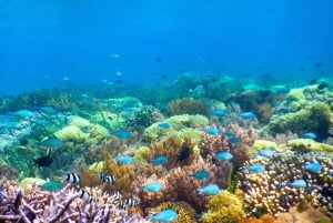 Gili Air/Trawangan: Glass-Bottom Boat Tour with Snorkeling