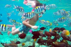 Gili Air/Trawangan: Glass-Bottom Boat Tour with Snorkeling