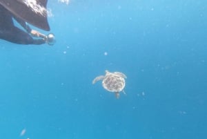 Gili Air/Trawangan: Glass-Bottom Boat Tour with Snorkeling