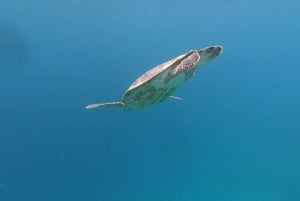 Gili Air/Trawangan: Glass-Bottom Boat Tour with Snorkeling