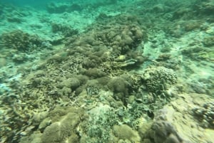 Gili Air/Trawangan: Glass-Bottom Boat Tour with Snorkeling