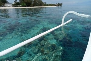 Gili Air/Trawangan: Glass-Bottom Boat Tour with Snorkeling
