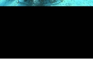 Gili Air/Trawangan: Glass-Bottom Boat Tour with Snorkeling