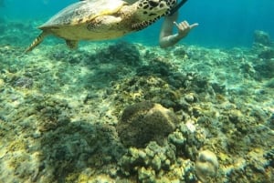 Gili Air/Trawangan: Glass-Bottom Boat Tour with Snorkeling