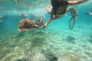 Gili Air/Trawangan: Glass-Bottom Boat Tour with Snorkeling