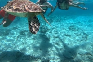 Gili Air/Trawangan: Glass-Bottom Boat Tour with Snorkeling