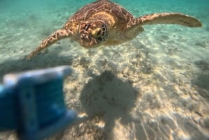 Gili Air/Trawangan: Glass-Bottom Boat Tour with Snorkeling
