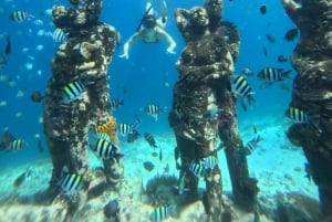 Gili Air/Trawangan: Glass-Bottom Boat Tour with Snorkeling