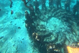 Gili Air/Trawangan: Glass-Bottom Boat Tour with Snorkeling