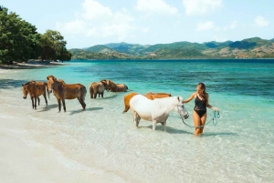 Gili Asahan : Découvrez l'île paradisiaque exclusive de Lombok