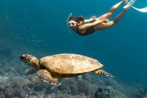 Gili Asahan: Ontsluit het exclusieve paradijseiland van Lombok