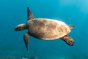 Gili Asahan: Scopri l'esclusiva isola paradisiaca di Lombok