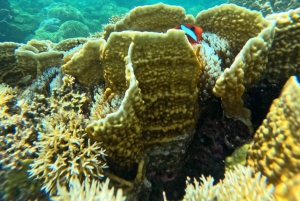 ギリ・アサハン：ロンボク島の特別な楽園の島を満喫